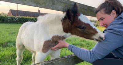 World Horse Welfare marks Groom Appreciation Day